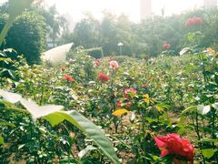 -人民公园(罗湖区)