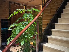 -天然沐足·推背采耳·敷姜艾灸(龙眼美食街店)