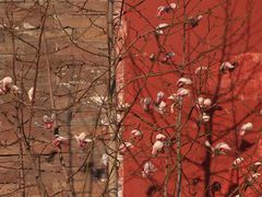 -东华门大街小区