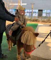 点击看大图 -萌宠亲子动物乐园(槐房万达店)