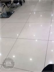 -金太子形象设计