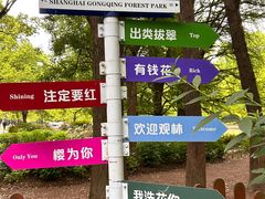 -上海共青森林公园