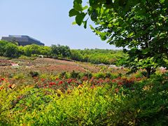 -天生桥景区