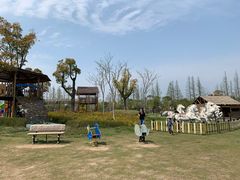游乐设施-上海长兴岛郊野公园