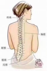 -双迪众创美业抗衰中心