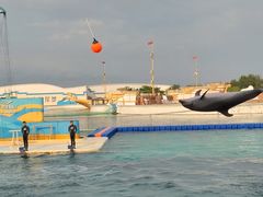 -秦皇岛乐岛海洋王国