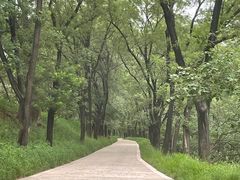 -承德避暑山庄景区