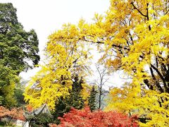 -都江堰景区