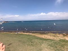 -青海湖国家重点风景名胜区