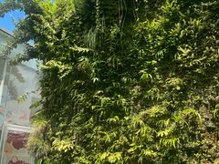 -金泽21世纪美术馆