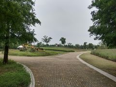 -同里国家湿地公园