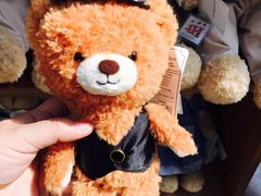 -济州岛泰迪熊博物馆