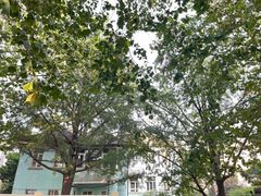 -八大关景区