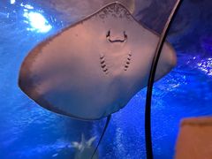 -太平洋海底世界