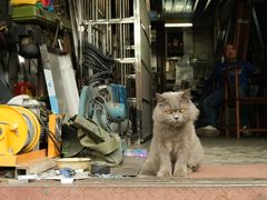 -胡椒猪肚汤(康王店)