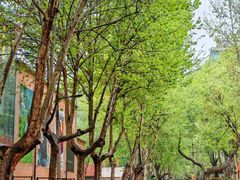 -西安电影制片厂