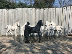 -白马涧龙池景区