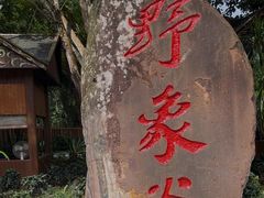 -野象谷景区