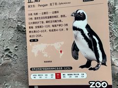 -武汉动物园