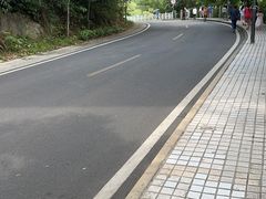 -深圳仙湖植物园
