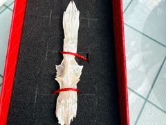 -土砂锅生态山庄·非遗砂锅雅鱼