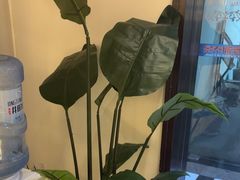 -锦初·禅意4K影院式足道·新中式SPA(茂业天地店)