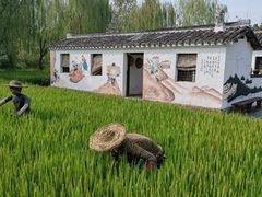 -溱湖国家湿地公园