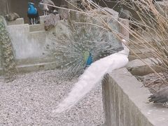 -南京金牛湖风景区