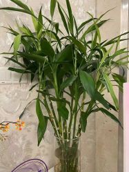 -Cocodemer女性健康·产后恢复(天一广场店)