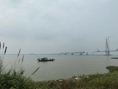 -芒洲湿地公园