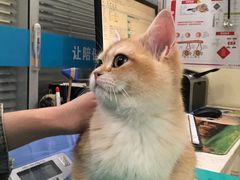 -美迦爱-牙专科·兔科·骨科诊疗中心(北苑店)