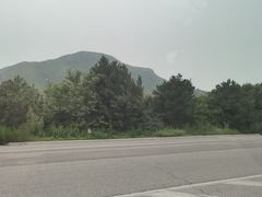 -清东陵