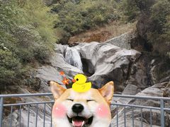 -苍山感通索道