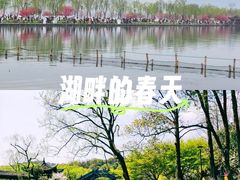 -西湖游船