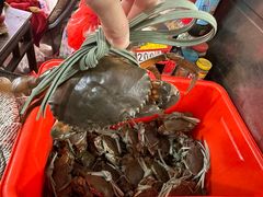 -老财炒饭·熟地蟹·冬瓜蟹