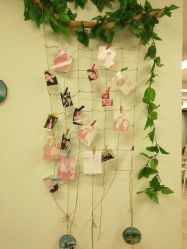 -杨丹国际美学肌研所