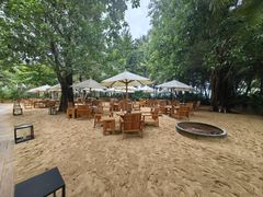 -三亚艾迪逊酒店·海滩烧烤 BARBACOA·现场乐队·浪漫晚餐·烧烤海鲜