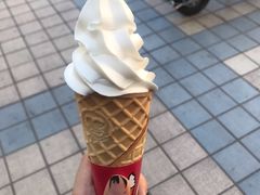-蜜雪冰城·冰淇淋与茶(福大店)