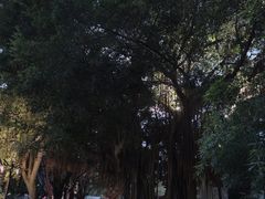 -西湖公园(鼓楼区)