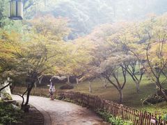 -岳麓山风景名胜区