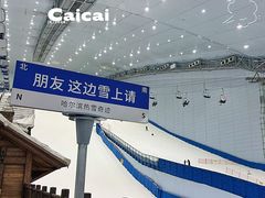 -哈尔滨热雪奇迹