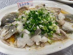 香葱淋鲈鱼-粤·向群饭店(龙津东路总店)