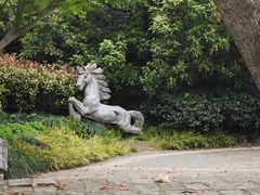 -朴园