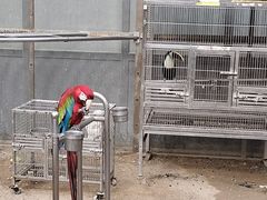 -南宫五洲植物乐园