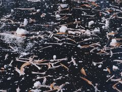 -济南森林公园