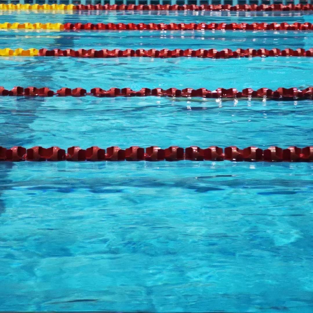 银橄榄|东北三环专业游泳馆泳道采光水质优选!