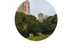 -新虹桥中心花园