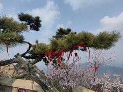 -天津盘山风景名胜区