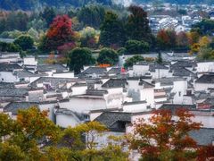 -塔川景区