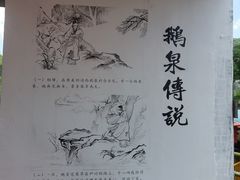-靖西鹅泉风景区